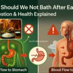 Sheetala Ashtami Recipes – Traditional Basi Bhojan for Goddess Sheetala Mata