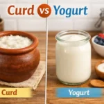 How To Use Curd Maker? An Incredibly Easy Methods That Works For All